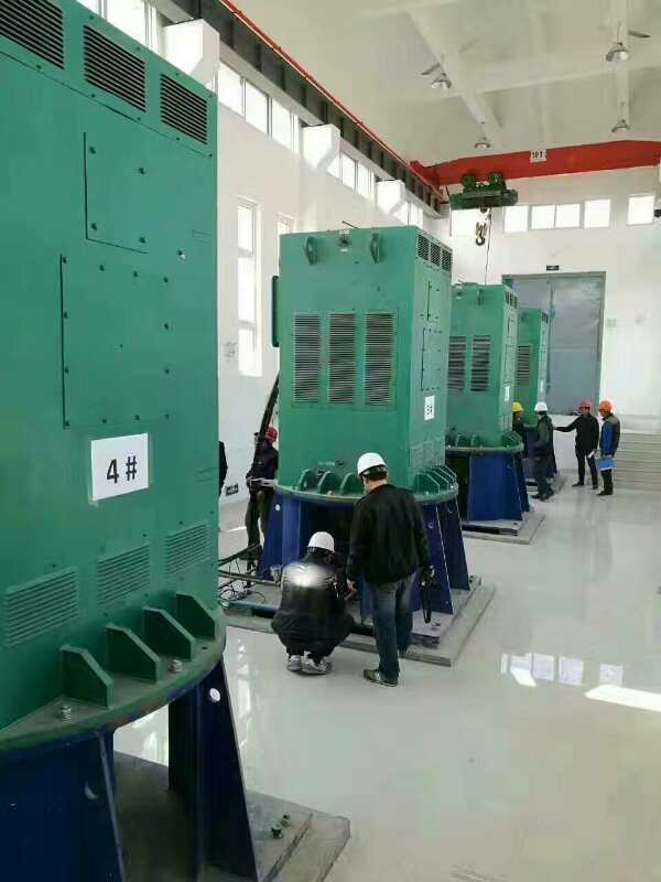 姚安某污水处理厂使用我厂的立式高压电机安装现场安装尺寸